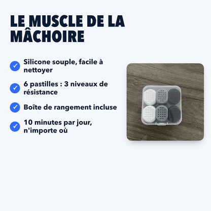 Le muscle de la mâchoire